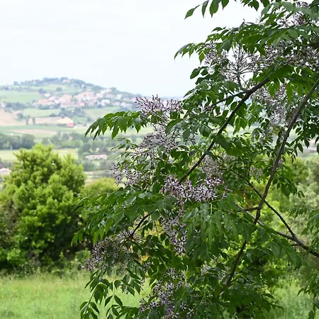N260 - Numana, Ampio Quadrilocale In Aperta Campagna * 努马纳